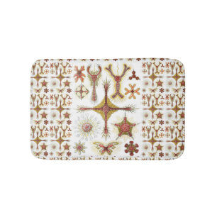 Tapis De Bain Chamomile sauvage par Ernst Haeckel, Nature Vintag