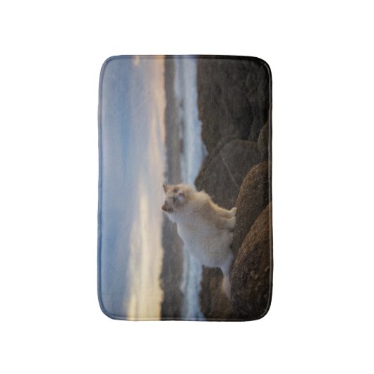 Tapis De Bain Chat de Ragdoll à la plage (Devant (Vertical))