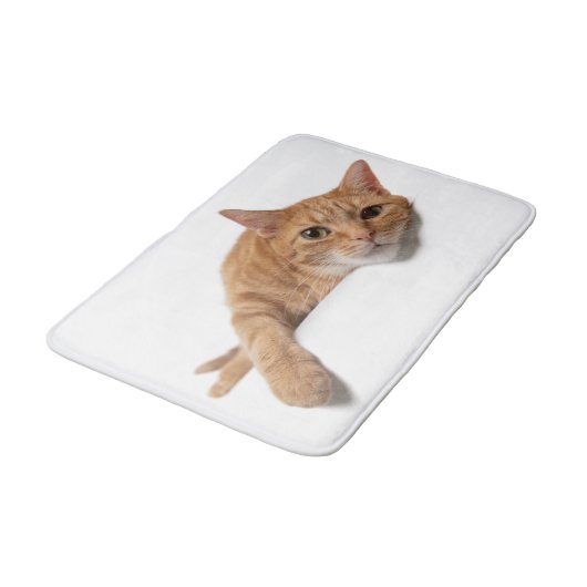 Tapis De Bain Chat Orange Posé En Bas (Angle)