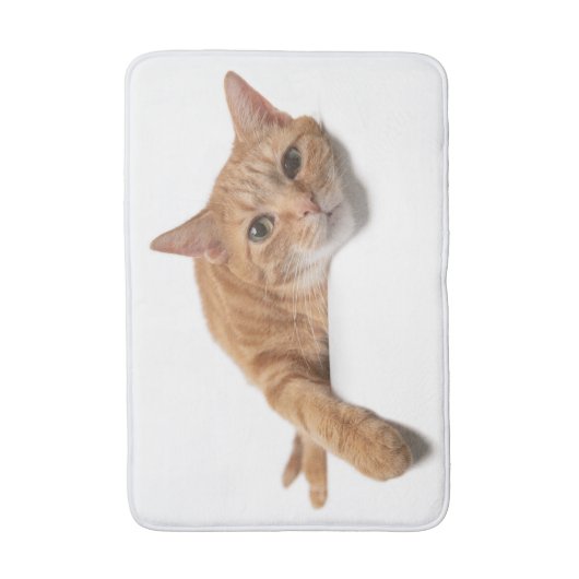 Tapis De Bain Chat Orange Posé En Bas (Devant (Vertical))
