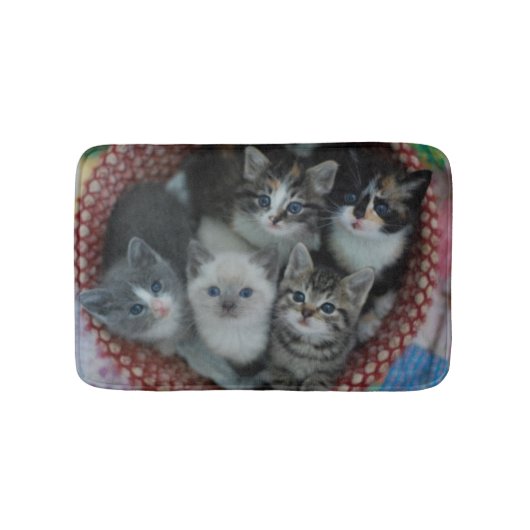 Tapis De Bain Chatons dans un panier (Devant)