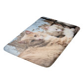 Tapis De Bain Chats (Angle)