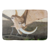 Tapis De Bain Chèvre (Devant)
