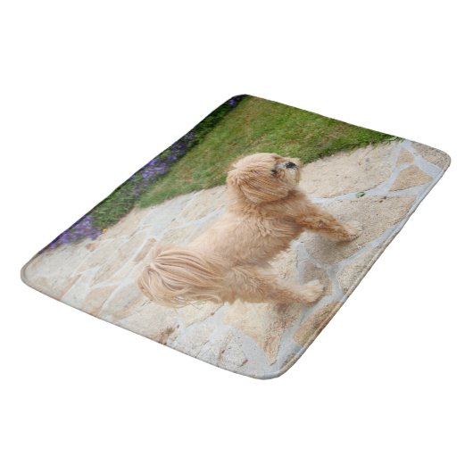 Tapis De Bain Chien de Red Lhasa Apso (Angle)