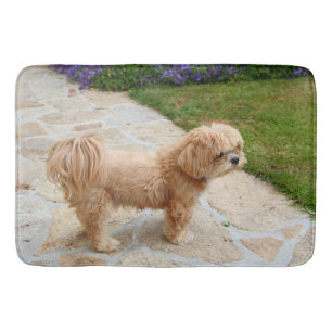 Tapis De Bain Chien de Red Lhasa Apso