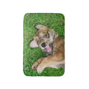 Tapis De Bain Chien riant Berger Picard Chiot