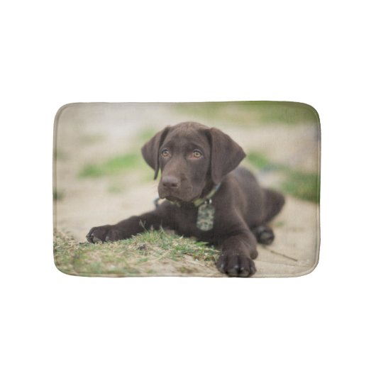 Tapis De Bain Chiot de laboratoire de chocolat (Devant)