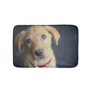 Tapis De Bain Chiot rouge de Fox Labrador