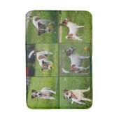 Tapis De Bain Collarge Terrier Brown Et Blanc Fox, (Devant (Vertical))