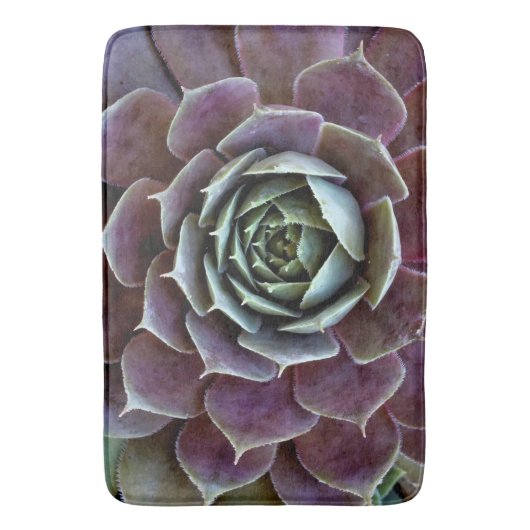 Tapis De Bain Complément Succulent pourpre (devant Vertical)