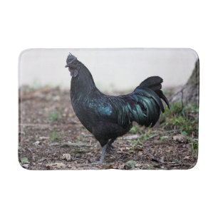 Tapis De Bain Coq de poulet de noir de jeune coq d'Ayam Cemani