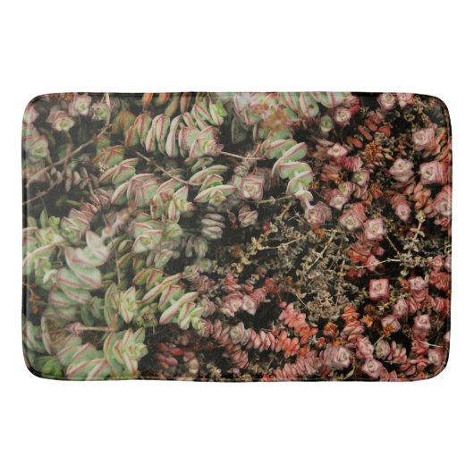 Tapis De Bain Crassula perforata (Devant)