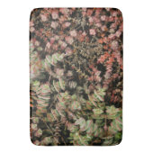 Tapis De Bain Crassula perforata (devant Vertical)