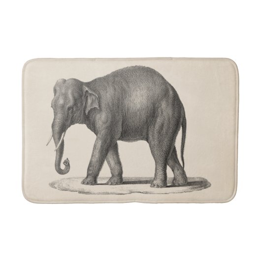 Tapis De Bain Croquis Brodtmann Elephant (Devant)