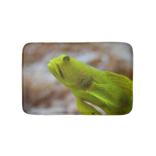 Tapis De Bain Cryptocentrus cinctus (Devant)