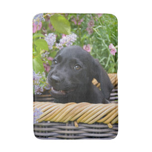 Tapis De Bain Cuisine Black Labrador Retriever Chien Chiot Chiot