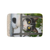 Tapis De Bain Curieux Chat avec Spectacles Cadre Amusant doux pe (Devant)