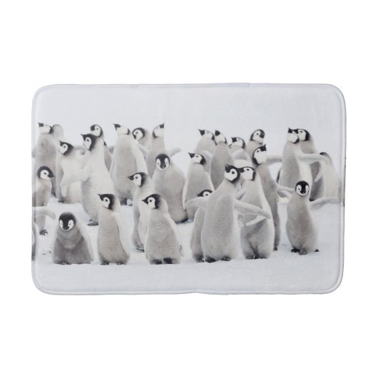 Tapis De Bain Cutest Baby Animals | Emperor Penguin Chicks (Devant)