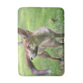 Tapis De Bain Cutest Baby Animals | Urban Fox (Devant (Vertical))