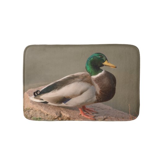 Tapis de bain de Drake de canard de Mallard (Devant)