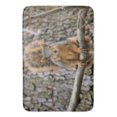 Tapis de bain d'écureuil de renard (devant Vertical)