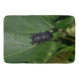 Tapis De Bain Dorcus parallelipipedus, le moindre dendroctone du