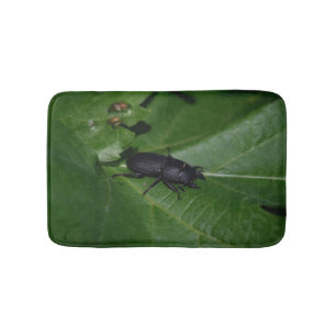 Tapis De Bain Dorcus parallelipipedus, le moindre dendroctone du