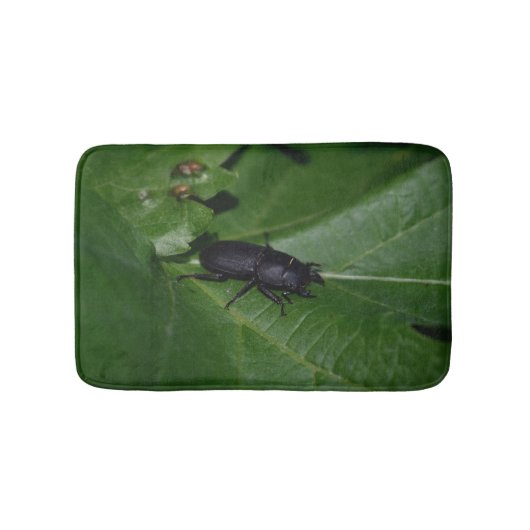 Tapis De Bain Dorcus parallelipipedus, le moindre dendroctone du (Devant)
