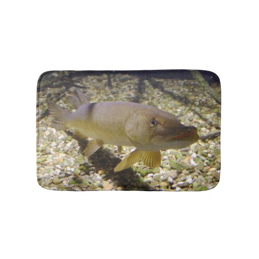 Tapis De Bain Esox lucius (Devant)