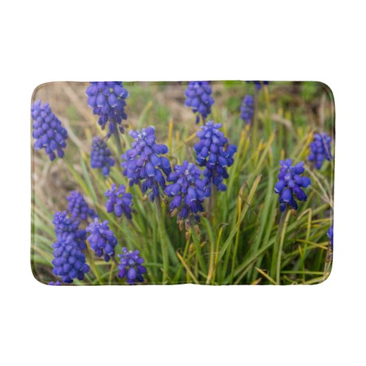 Tapis De Bain Famille de raisins Hyacinths (Devant)