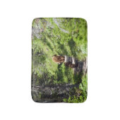 Tapis De Bain Famille d'ours brun (Devant (Vertical))