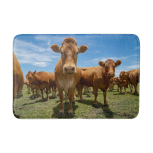 Tapis De Bain Farms Brown cow