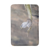 Tapis De Bain Faucon pèlerin au parc inter-États des Palisades (Devant (Vertical))