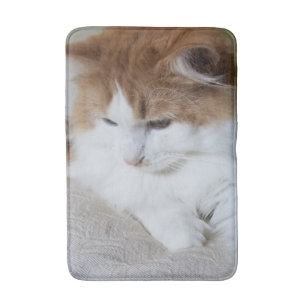 Tapis De Bain (Feline Fancy) Contemplation Kitty : Photo Cat