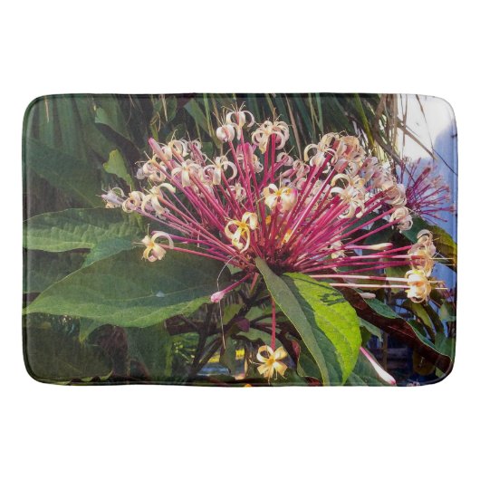 Tapis de bain Fleurs de Clerodendrum Starburst (Devant)