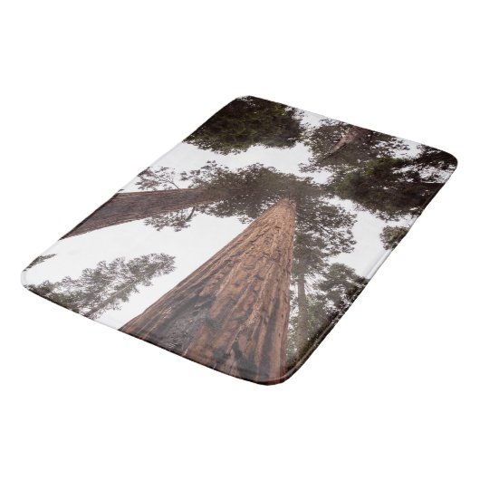 Tapis De Bain forêt, arbre (Angle)