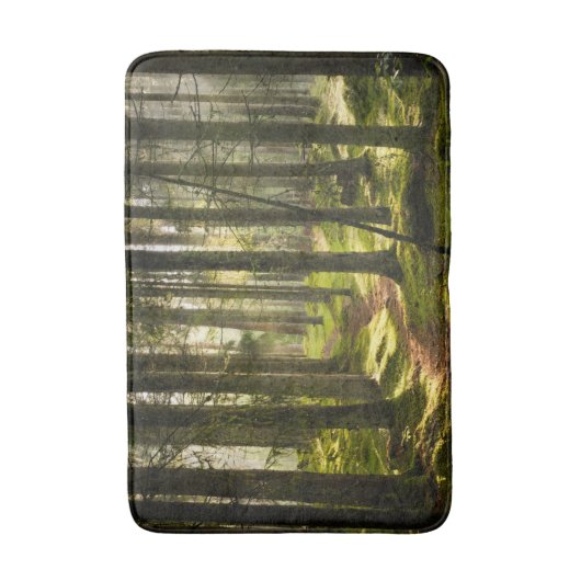 Tapis De Bain Forêt | Forêt boréale Suède (Devant (Vertical))