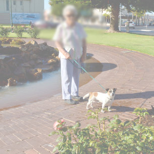 Tapis De Bain Fox Terrier Joyeux Jours, Mousse de mémoire Bathma