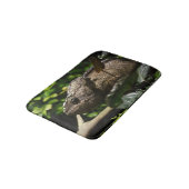 Tapis De Bain Furcifer oustaleti (Angle)