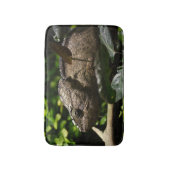 Tapis De Bain Furcifer oustaleti (Devant (Vertical))