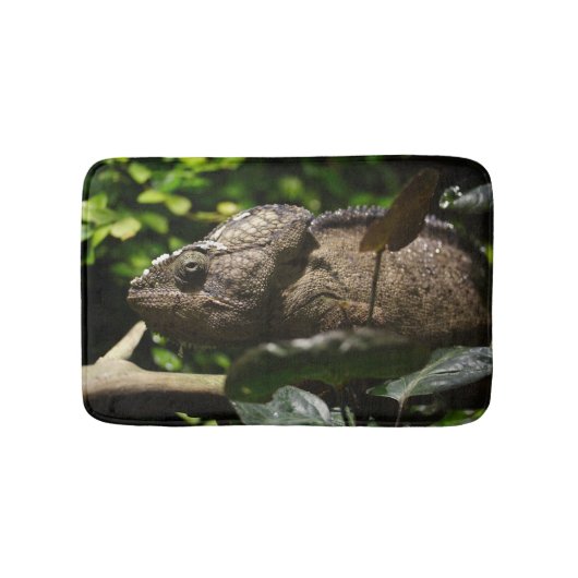 Tapis De Bain Furcifer oustaleti (Devant)