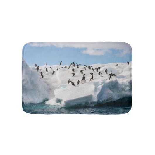 Tapis De Bain Gentoo Penguin Antarctica Iceberg Playtime (Devant)