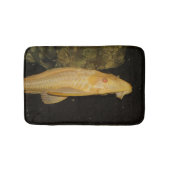 Tapis De Bain Glyptoperichthys gibbiceps (Devant)