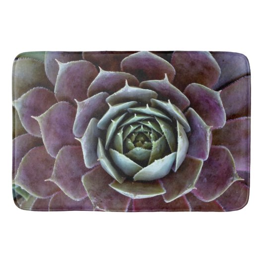 Tapis De Bain Gros plan sur une succulente violette (Devant)