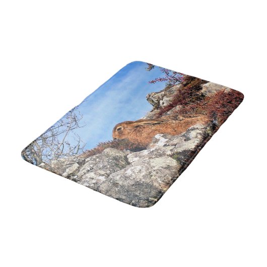 TAPIS DE BAIN HARE (Angle)