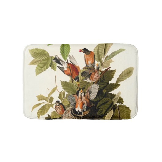 Tapis De Bain Illustration Audubon American Robin Wildlife Bird (Devant)