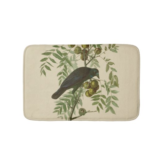 Tapis De Bain Impression d'oiseau Grackle violet d'Audubon Botan (Devant)