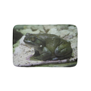 Tapis De Bain Incilius alvarius