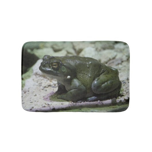 Tapis De Bain Incilius alvarius (Devant)