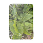 Tapis De Bain Jardin Jardin Closeup Nature extérieure Photo (Devant (Vertical))